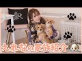 えれなの家族を紹介します🐶♡