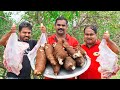 மட்டன் கப்ப கறி | Tapioca Mutton curry | Cassava Mutton Fry | Kerala Traditional Food Village style