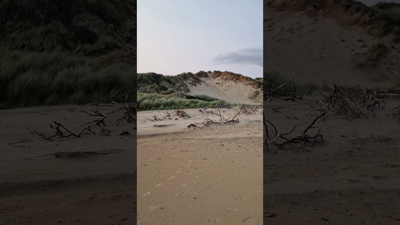 Beach strollz are the best strollz!😎🥰🏖🏝🇮🇪☘️🌞☀️ 