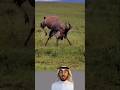 المعارك الكبرى لا ت حسم من اللحظة الأولى بل بالمثابرة والقدرة على الصمود تحت الضغط اكسبلور شرت