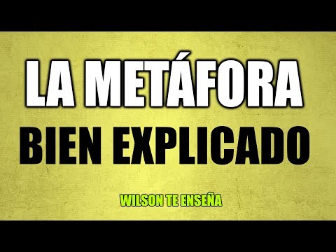 Video: ¿Era un ejemplo de metáfora?