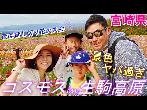 宮崎移住家族｜絶景コスモス畑を堪能｜夜には花火大会を貸し切りで！【＃23】