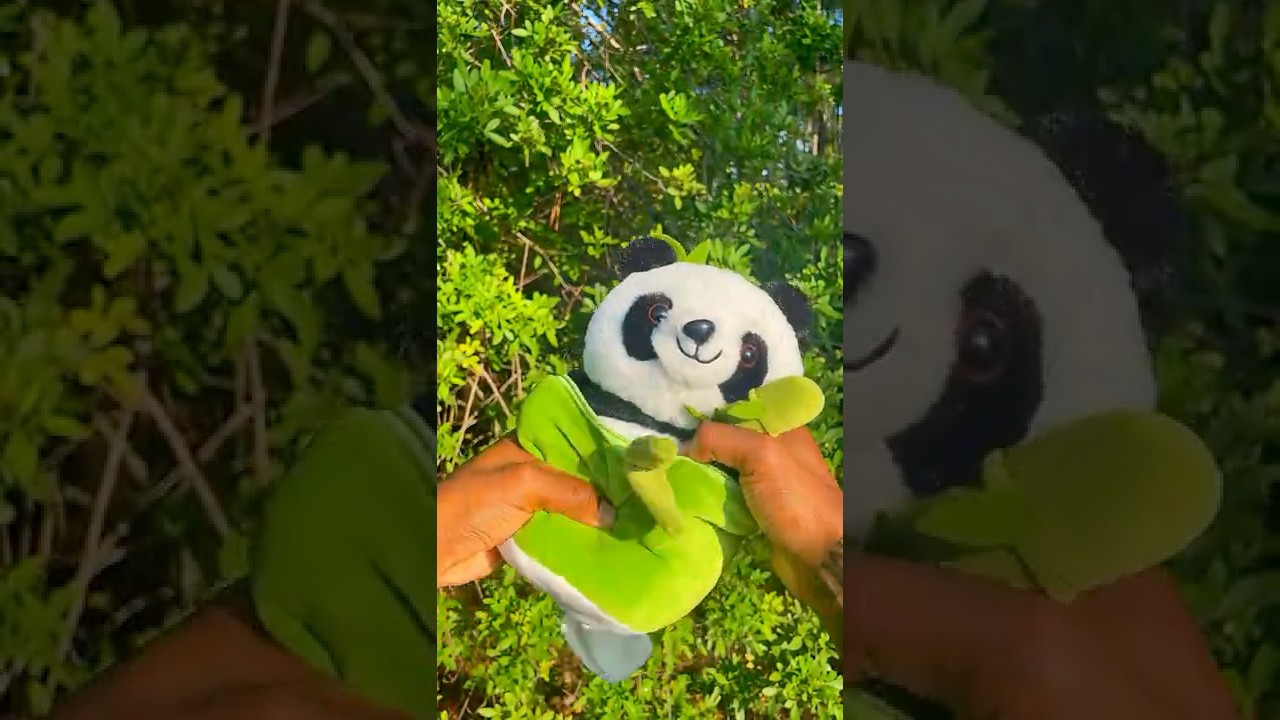 Is This The Cutest Panda Plushie Ever!? 🐼💘