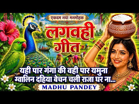 #Video एकदम नया धान रोपनी गीत धमाकेदार dhan lagvhigeet/यही पार गंगा की वही पार यमुना/ #kajarigeet