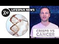 Fighting Cancer With CRISPR | Lifespan News