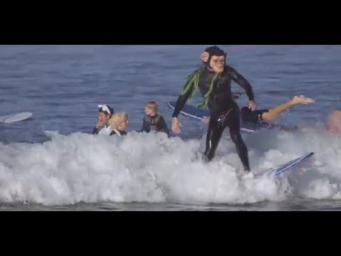 Blackies Halloween Surf Freaks