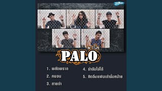 Download lagu สายดำ