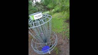 Disc Golf with Ray Ban Meta's - Rosedale Park