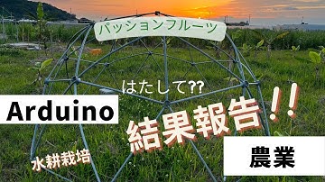 arduino×ソーラーパネル×軽石×水耕栽培　結果報告！！