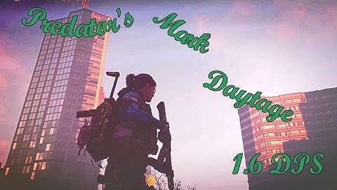 Predators Mark 1.6 Build and Daytage