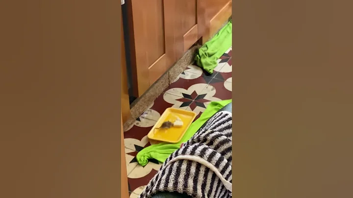 1 April 2020