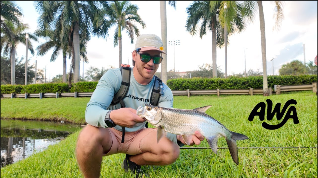 Welcome to My Channel! Exploring South Florida Canals with Live Bait (Peacock Bass, Tarpon & More)