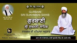 Sukhmani Sahib || Baba Gurmeet Singh Ji Mohi || Shergill Records Dharmik