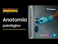 IV Jornada - Residente 0: Anatomía Patológica