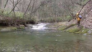 渓流釣り イワナ ヤマメ 逃した魚は リベンジ Part１ Youtube