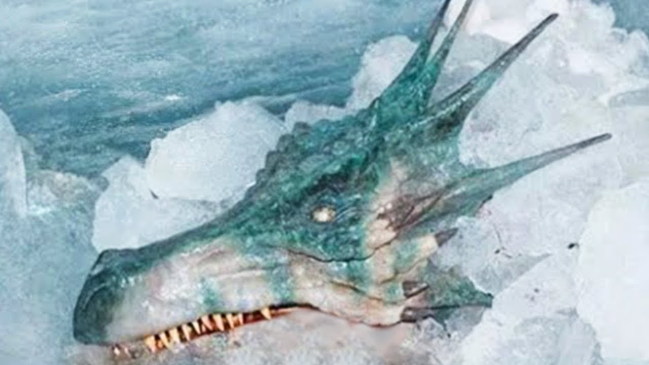 15 Most Mysterious Things Found Frozen in Ice