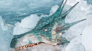 15 Most Mysterious Things Found Frozen In Ice