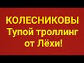 Семья Колесниковых/Обзор.