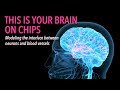 This is Your Brain on Chips