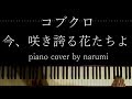 コブクロ 今 咲き誇る花たちよ Relaxing Piano Cover Arrangement By Narumi ピアノカバー 弾いてみた コブクロ 今 咲き誇る花たちよ Relaxing Piano Cover Arrangement By Narumi ピアノカバー 弾いてみた