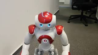 A.I.B. August: Nao the robot on Google Cloud & CenterNet