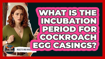 What Is The Incubation Period For Cockroach Egg Casings? - Insects and Invaders