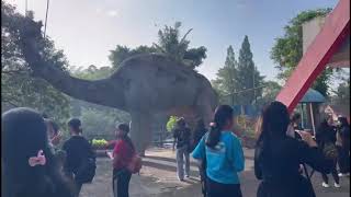 PRAKTEK RENANG MAHASISWA PGSD UNITRI MALANG