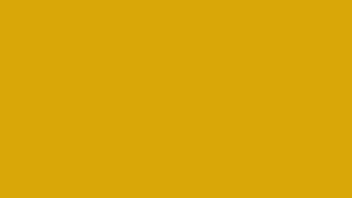 1 Hour of Pure Mustard Yellow Screen