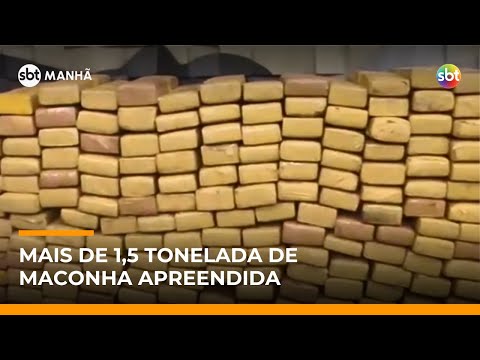 Video policia-apreende-mais-de-1-5-tonelada-de-maconha-em-contagem-mg-e-dois-sao-presos-sbt-manha