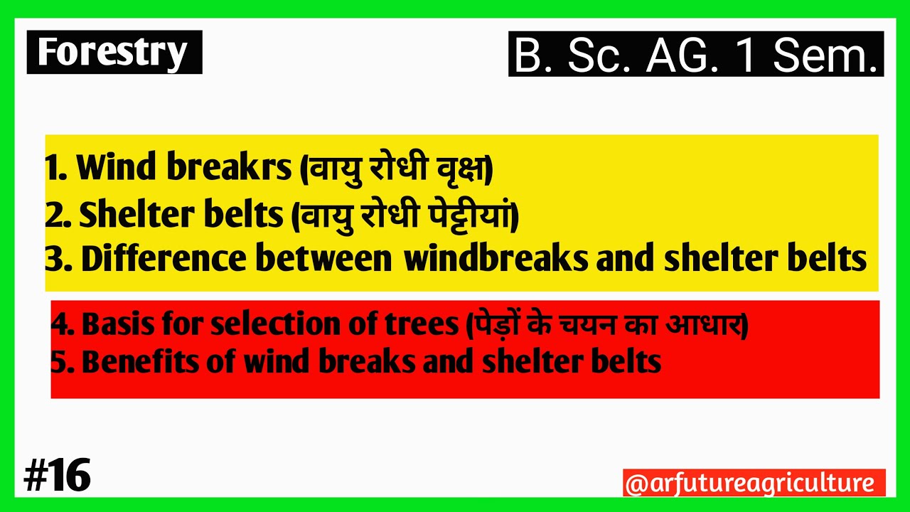 Wind Breaks and Shelter Belts | Benefits of Wind Breaks and Shelter ...