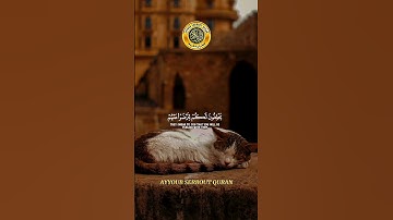 سورة التوبة الآية 95-98 تلاوة الشيخ سعود الشريم