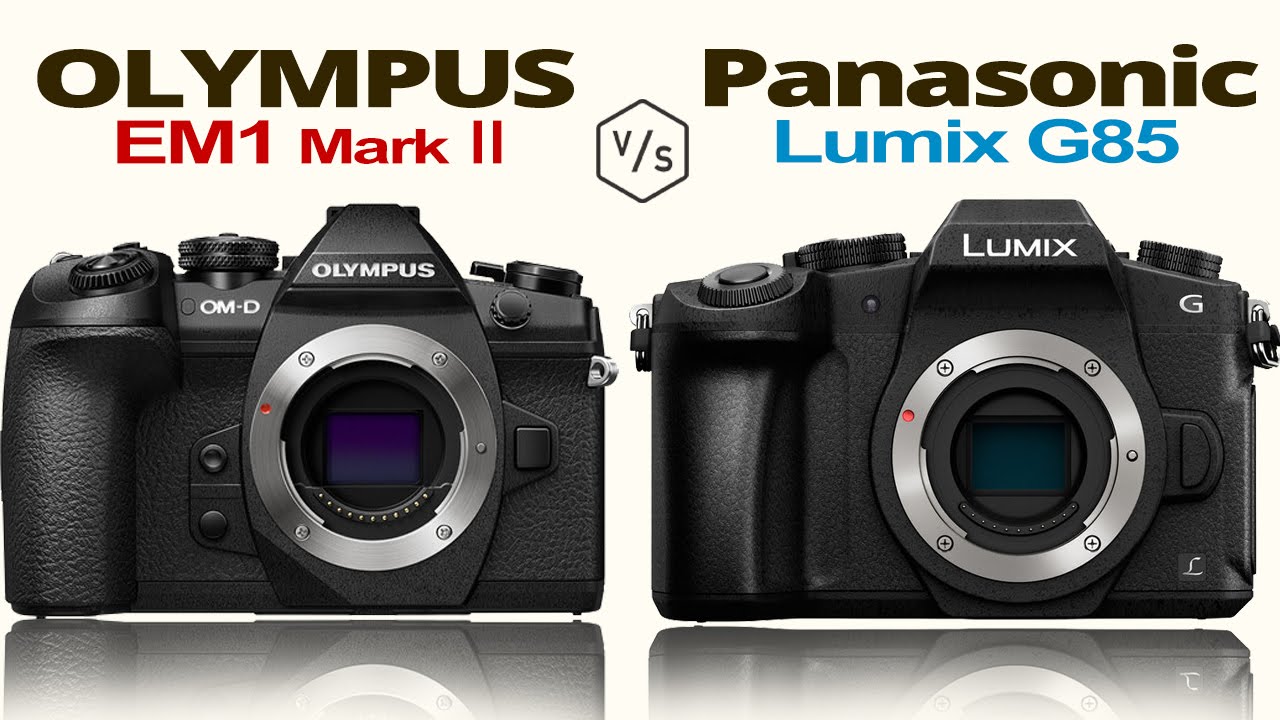 Olympus Omd Em1 Mark Ii Vs Olympus Omd Em1 Youtube