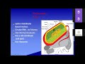 CSIR NET LIFE SCIENCES/IITJAM/GATE LIFE SCIENCES