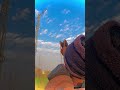 birds hunting video with #slingshot #shorts