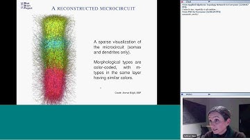 Kathryn Hess (2/24/16): Topological analysis of digital reconstructions of neural microcircuits