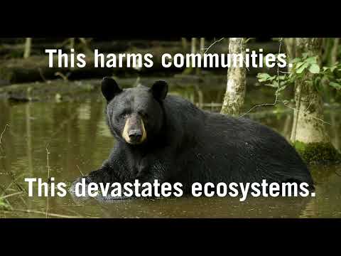 Stop the Everglades Ice Detention Center