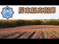 《賈文青比你愛台灣》屏東縣高樹鄉：當然鳳梨是一定要吃爆的啦，還有適合趁打折去享受美景的大路觀主題樂園！