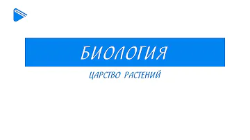 6 класс - Биология - Царство растений