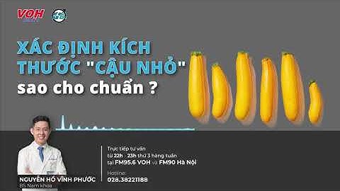 Đường kính trung bình của cậu nhỏ năm 2024