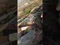 #song #emotional #sadstatus #hills #nature