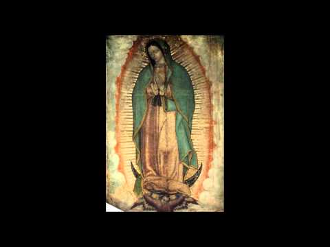 Video: Persistent Naiad Of Guadalupe