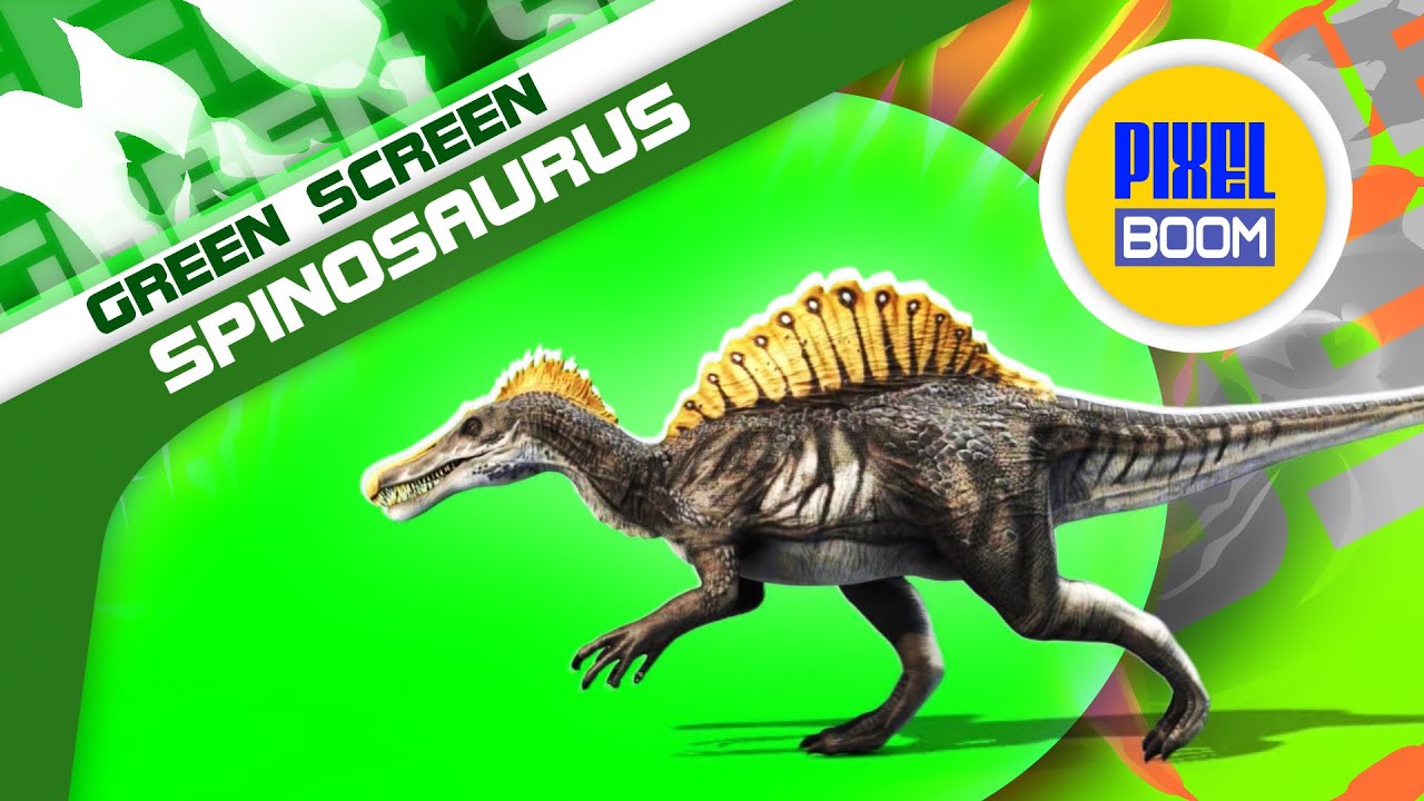 Green Screen Spinosaurus Dinosaurs Jurassic - Footage PixelBoom