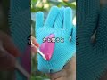 【ジョーク】最後の遺言#shorts #ジョーク