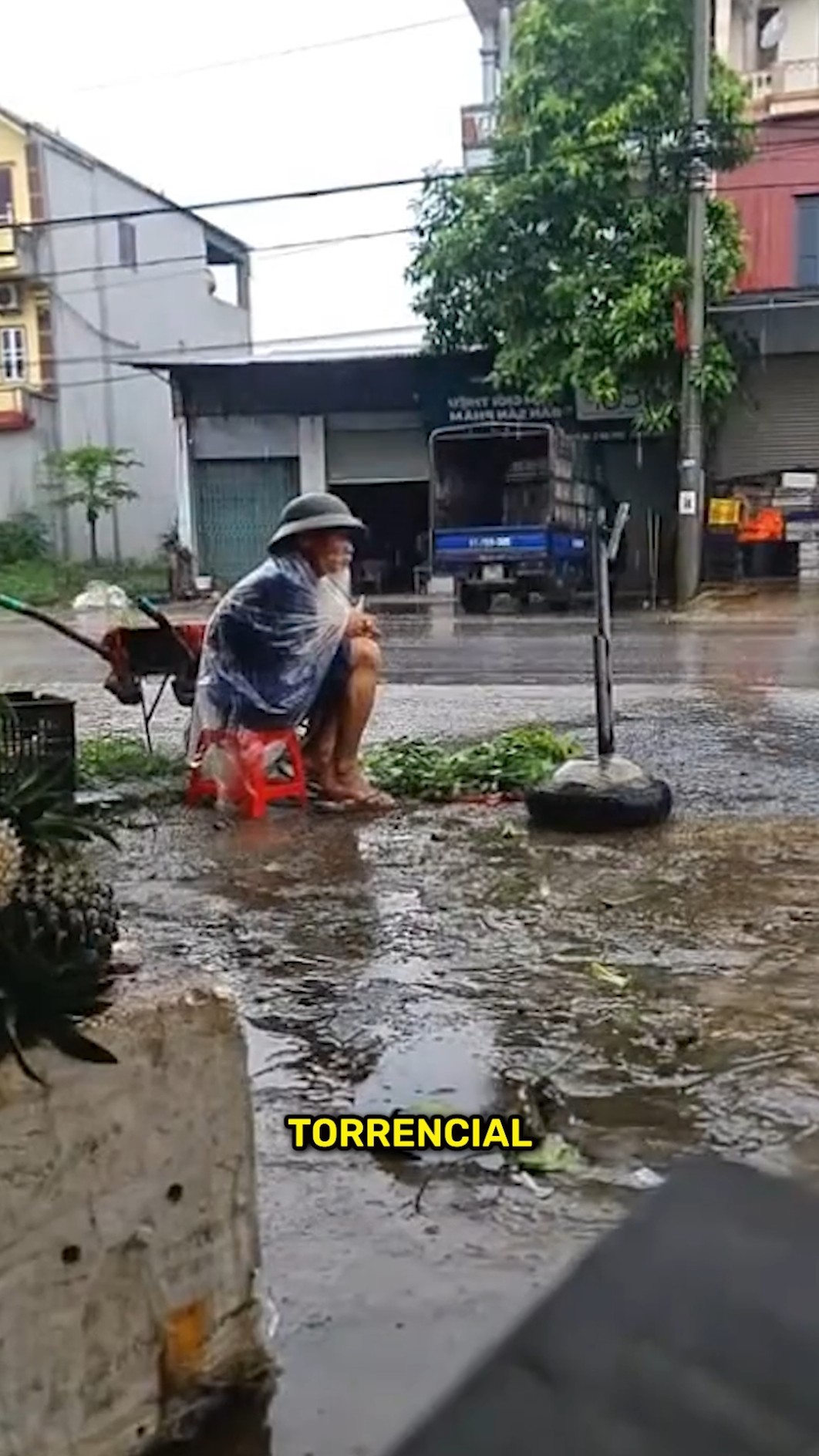 Este anciano estaba indefenso hasta que pasó esto… ?➡️❤️