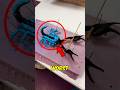 Top 3 Animals With The MOST PAINFUL Stings #PainScale #DeadlyAnimals #WildlifeFacts