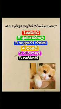 ඔයා වැඩ්පුර සතුට්න් හිට්යේ 🤗