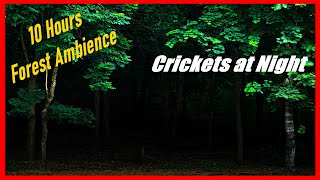 Crickets at Night for Sleep or Relax, 10 HOURS Nature Sounds, Forest Ambience