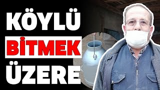 KÖYLÜ BİTMEK ÜZERE / RÖPORTAJ