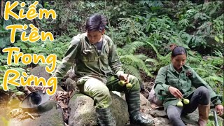 Vào rừng kiếm tiền | tập 2 | Săn tìm dược liệu hoang dã