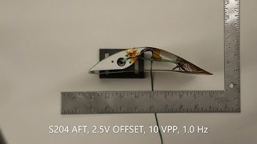 Piezocomposite camber-morphing of isolated S204 slotted, natural-laminar-flow aft element airfoil